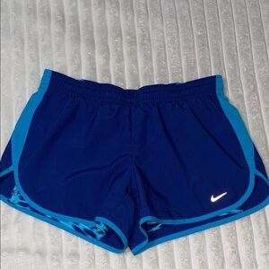 Nike Shorts | Size Medium